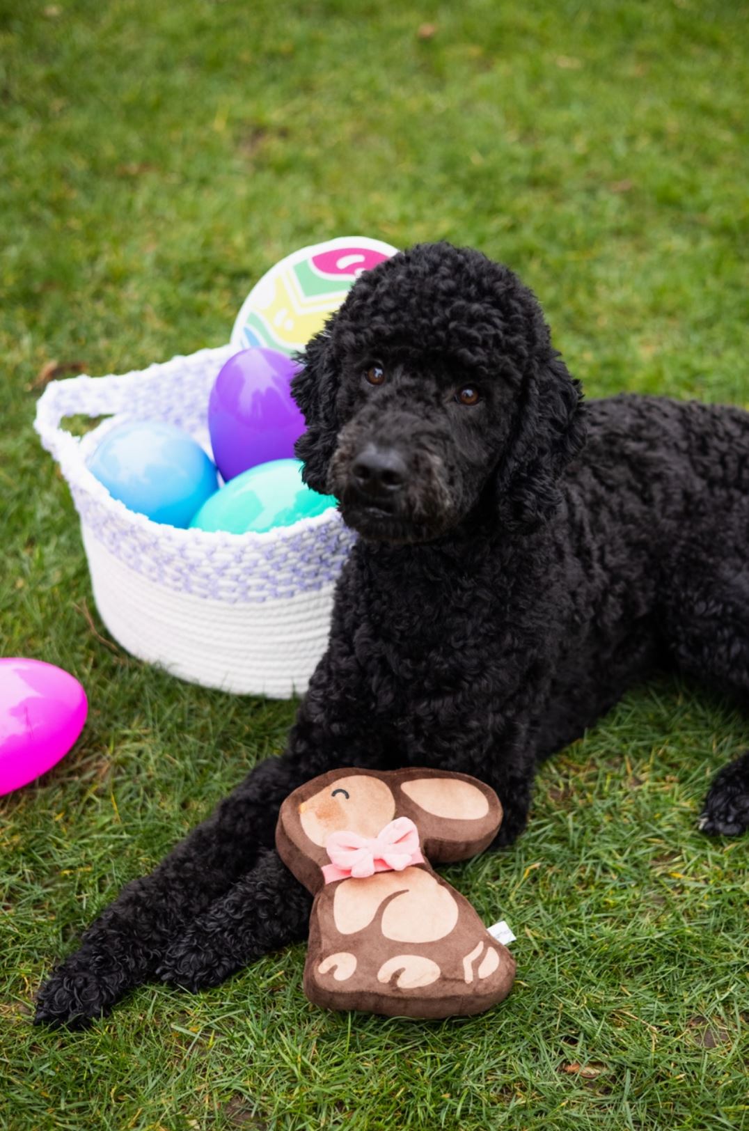 Easter Chocolate Bunny Dog Toy