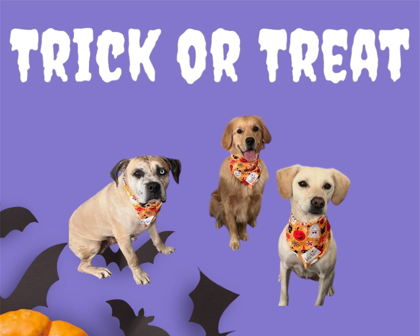 Halloween Dog Bandana