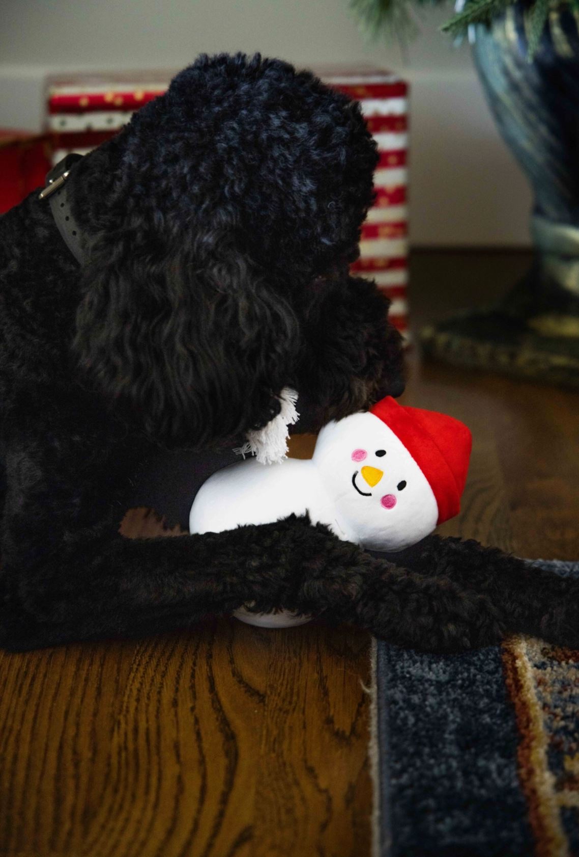 Snowman Dog Toy