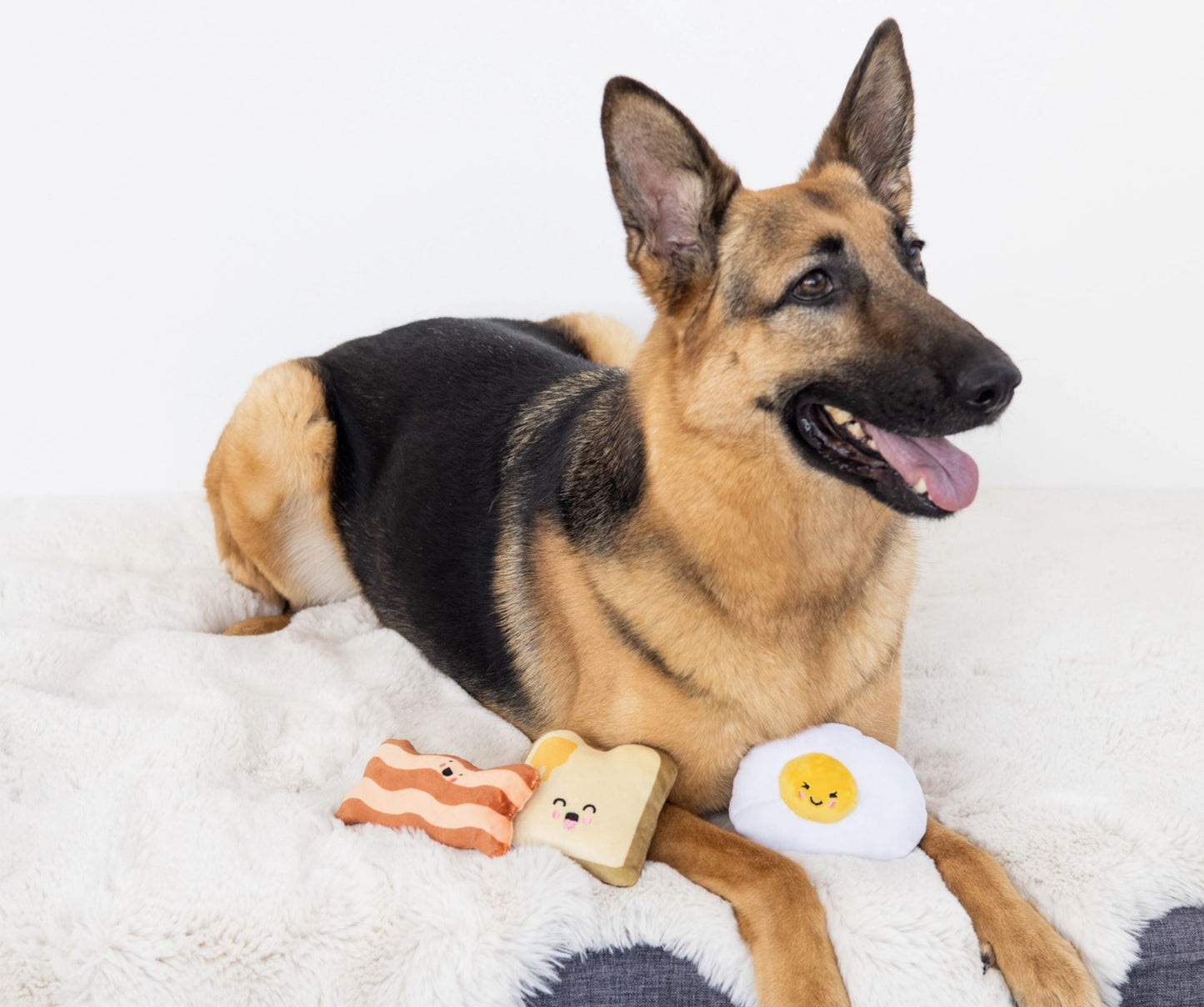 Buttery Toast Dog Toy