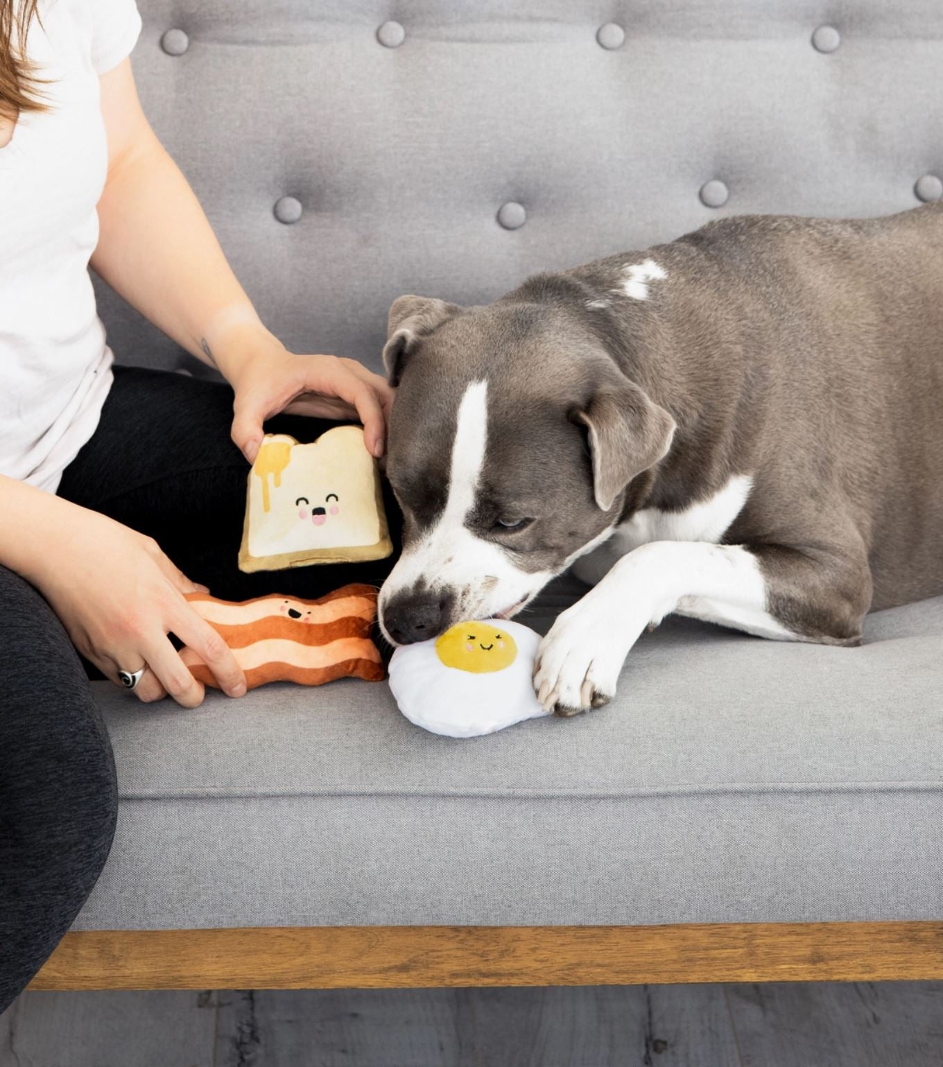 Fried Egg Dog Toy