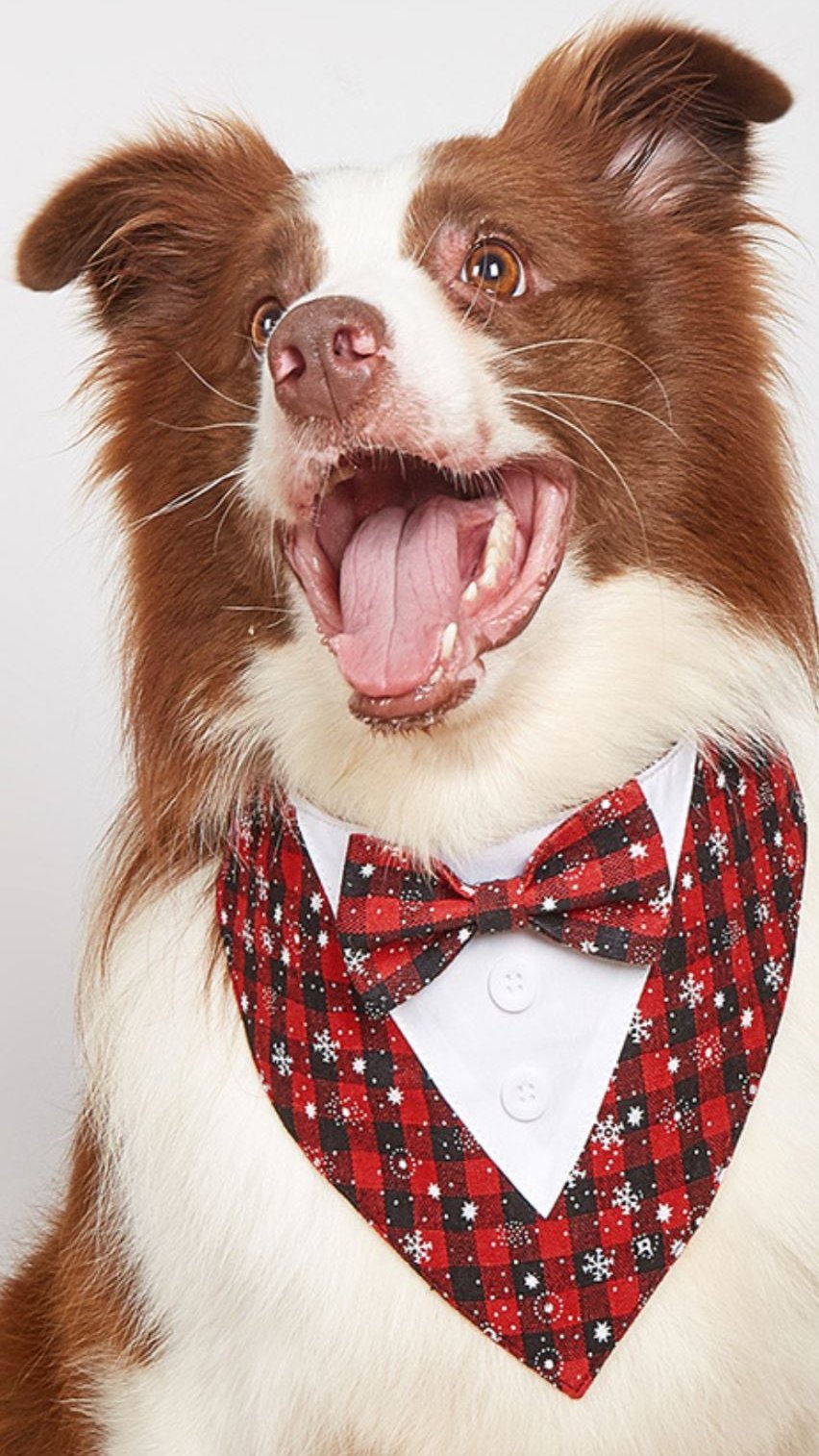 Christmas Bandana with Bow Tie