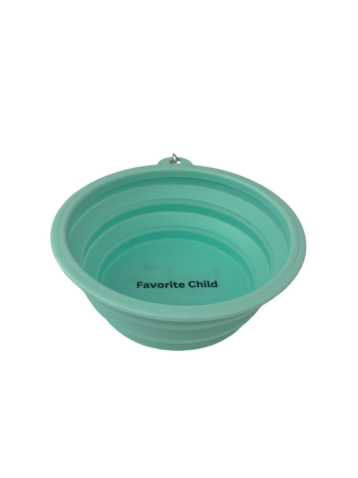 Favorite Child Aqua Travel Dog Bowl