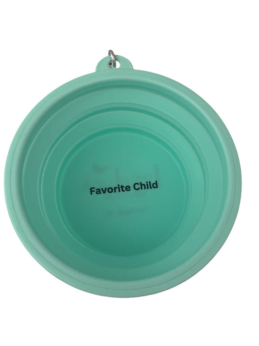 Favorite Child Aqua Travel Dog Bowl