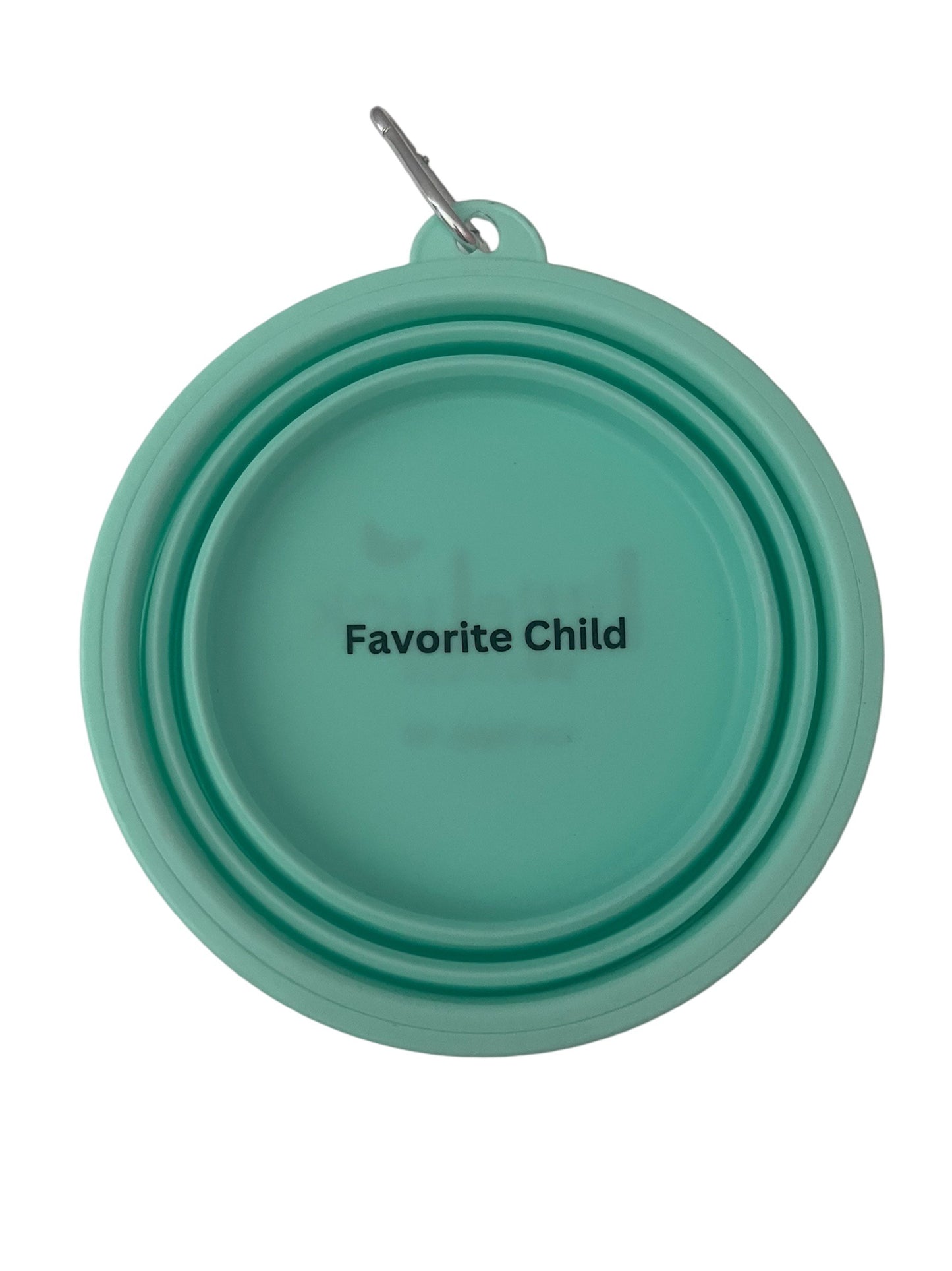 Favorite Child Aqua Travel Dog Bowl