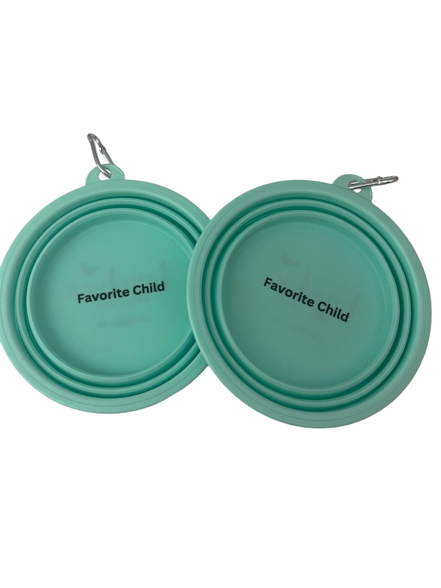 Favorite Child Aqua Travel Dog Bowl