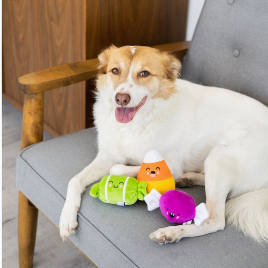 Halloween Candy Dog Toys - Set of 3