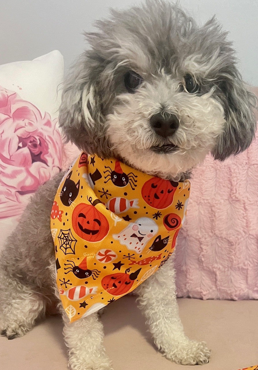 Halloween Dog Bandana