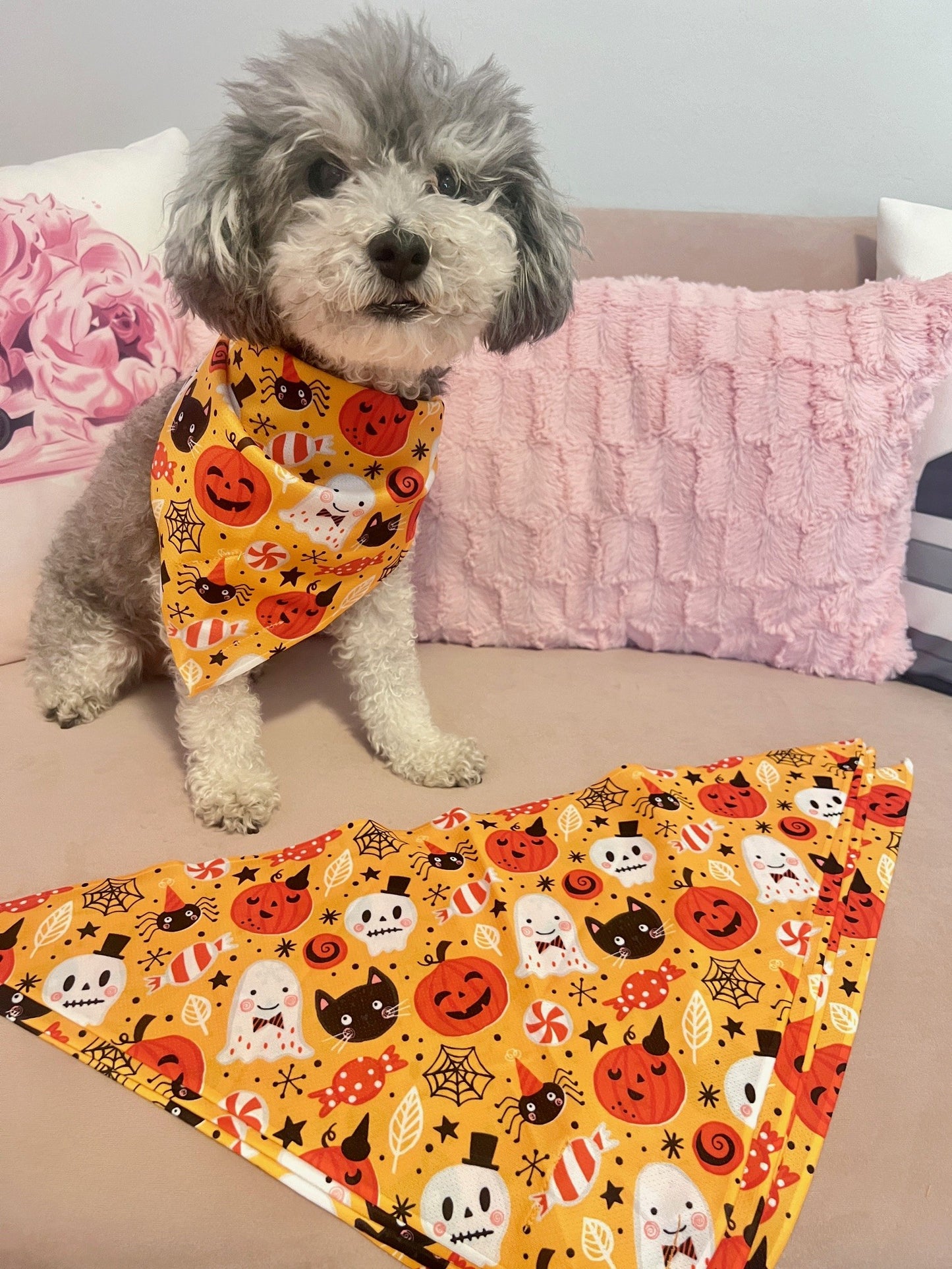 Halloween Dog Bandana