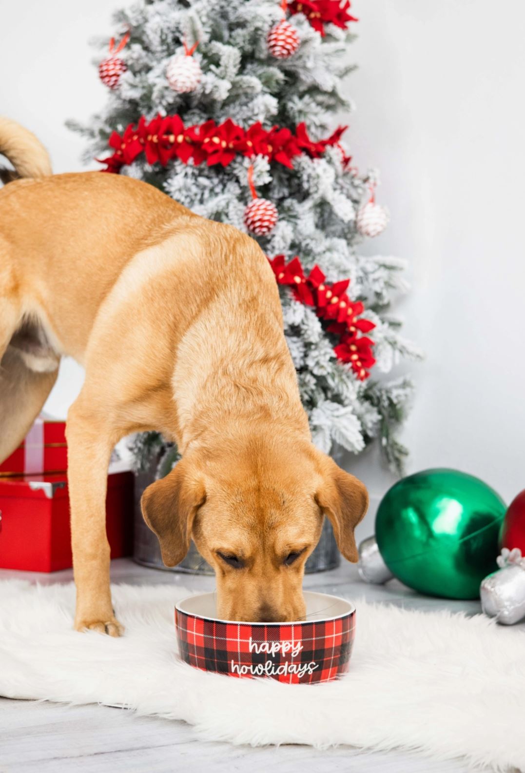 "Happy Howlidays" Holiday Ceramic Dog Bowl, Large