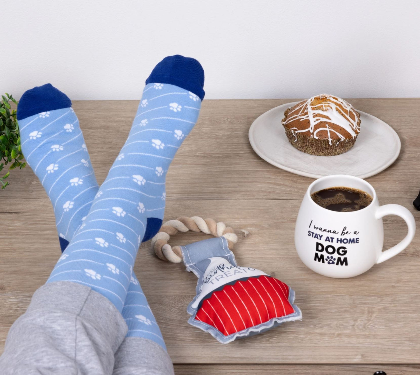 I Wanna Be A Stay At Home Dog Mom Mug & Sock Gift Set - 15.5oz