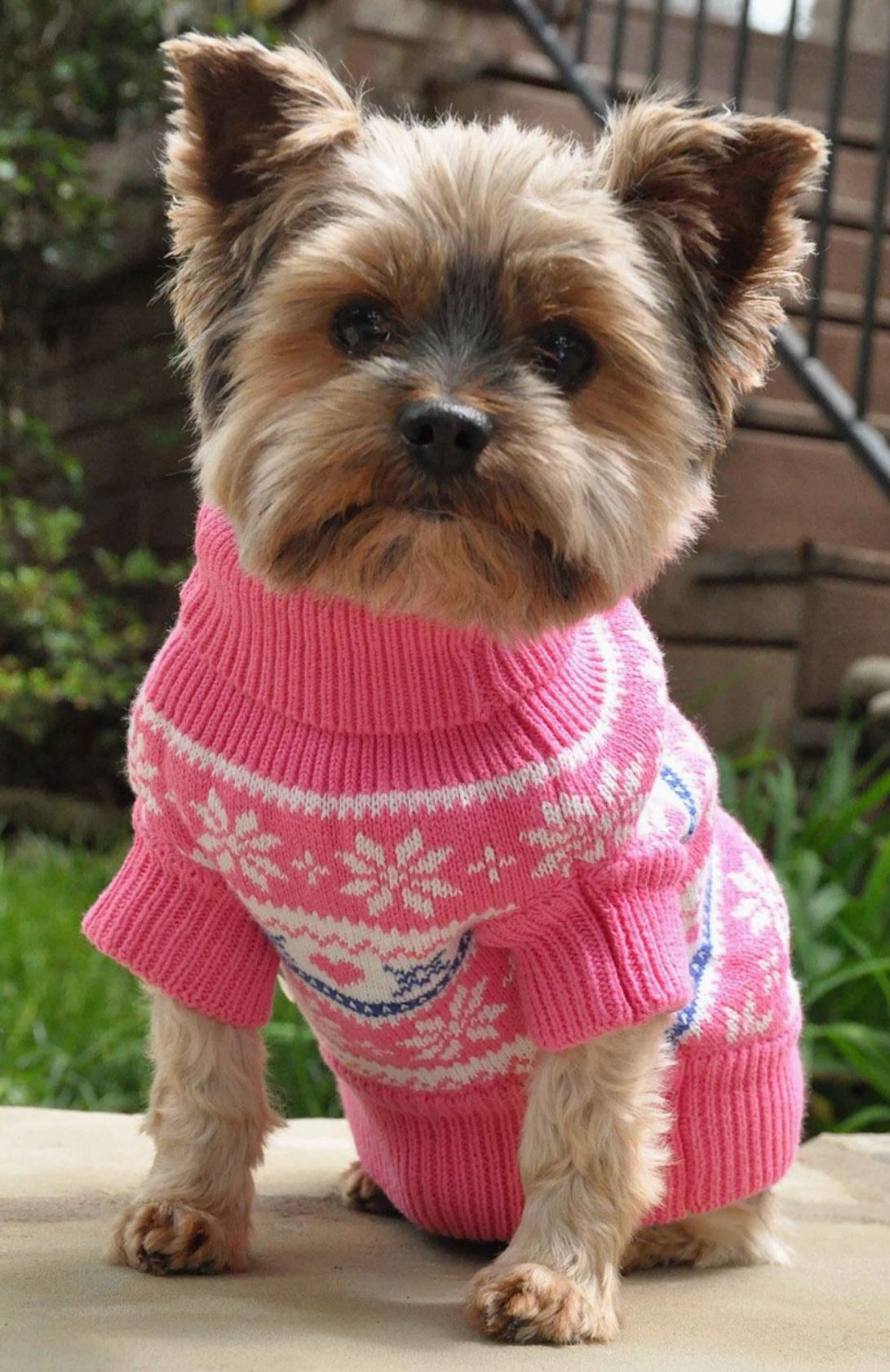 Snowflake and Hearts Dog Sweater - Pink, Small