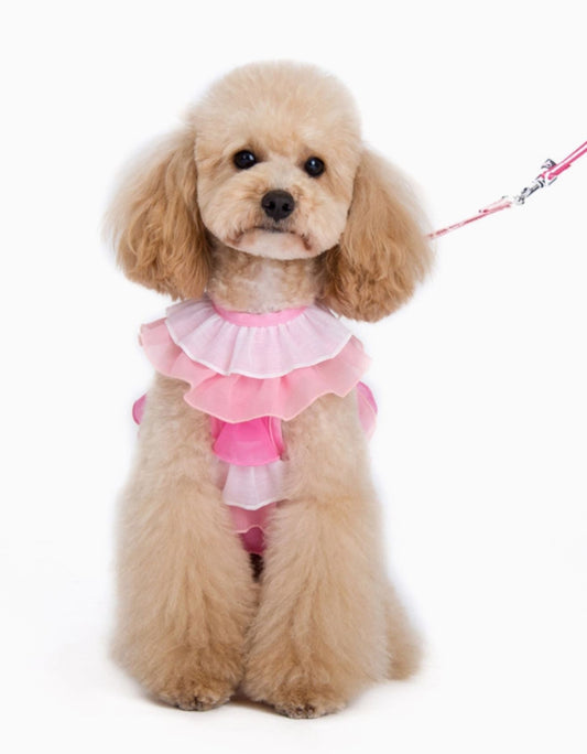 Pink Ruffle Dress With Harness And Leash