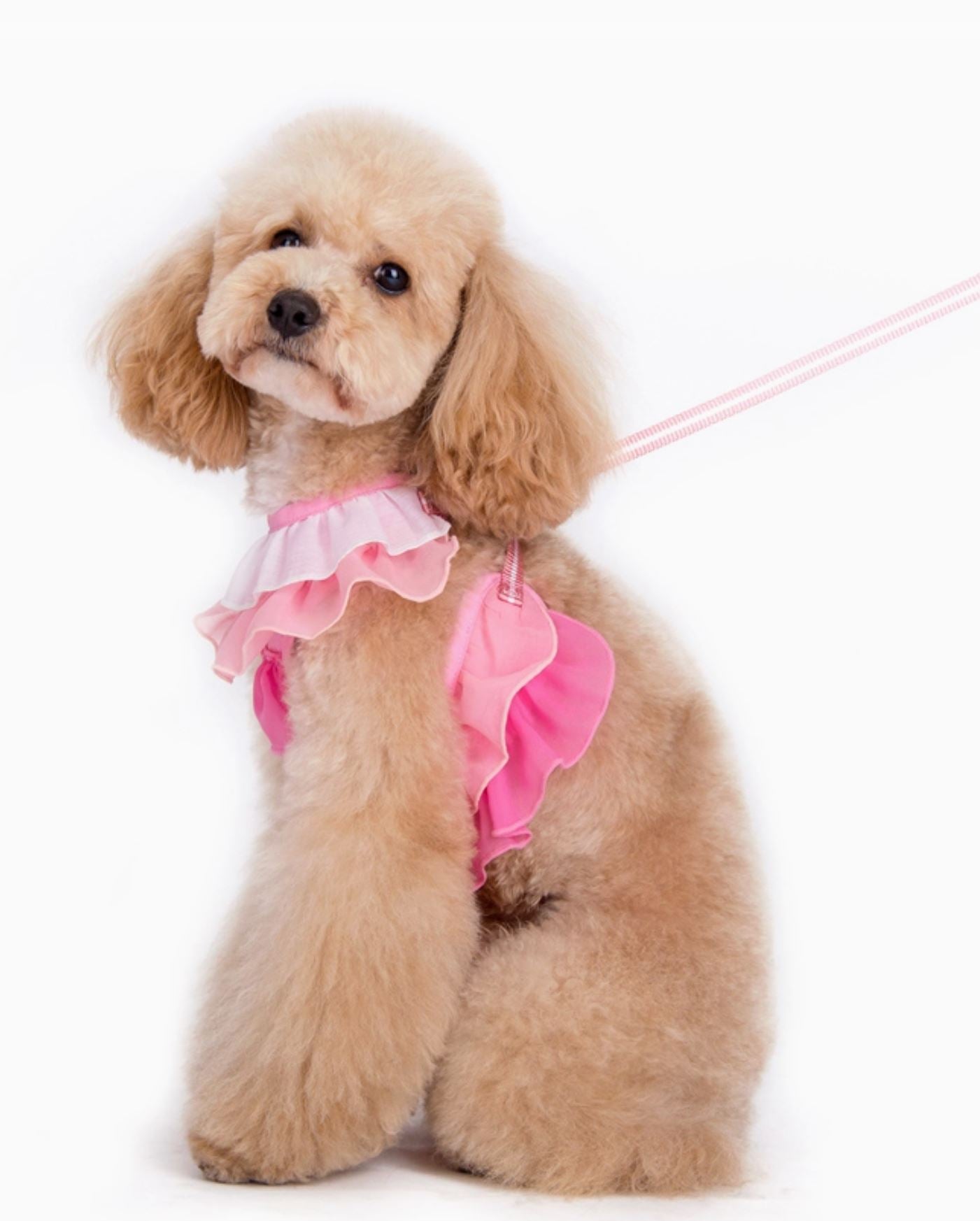 Pink Ruffle Dress With Harness And Leash