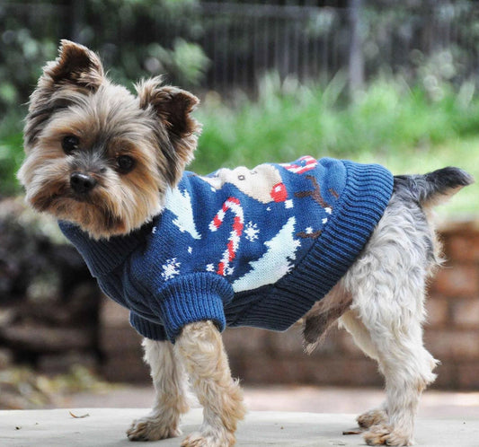 Ugly Reindeer Holiday Dog Sweater, XS