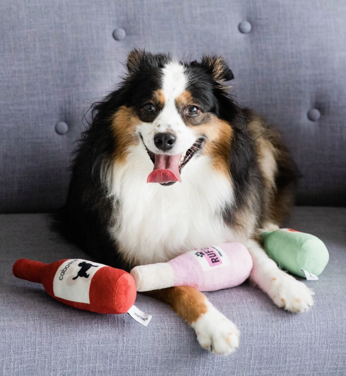 Pearhead Happy Hour Dog Toy Set Pearhead Happy Hour Dog Toy Set