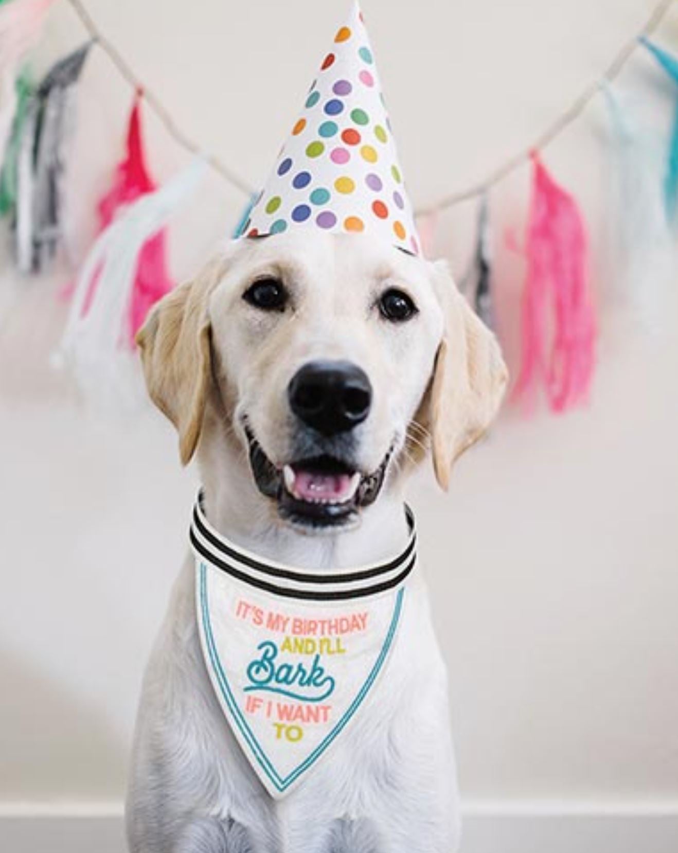 Dog Birthday Bandana - It's My Birthday And I'll Bark If I Want To - LittleLuck Boutique