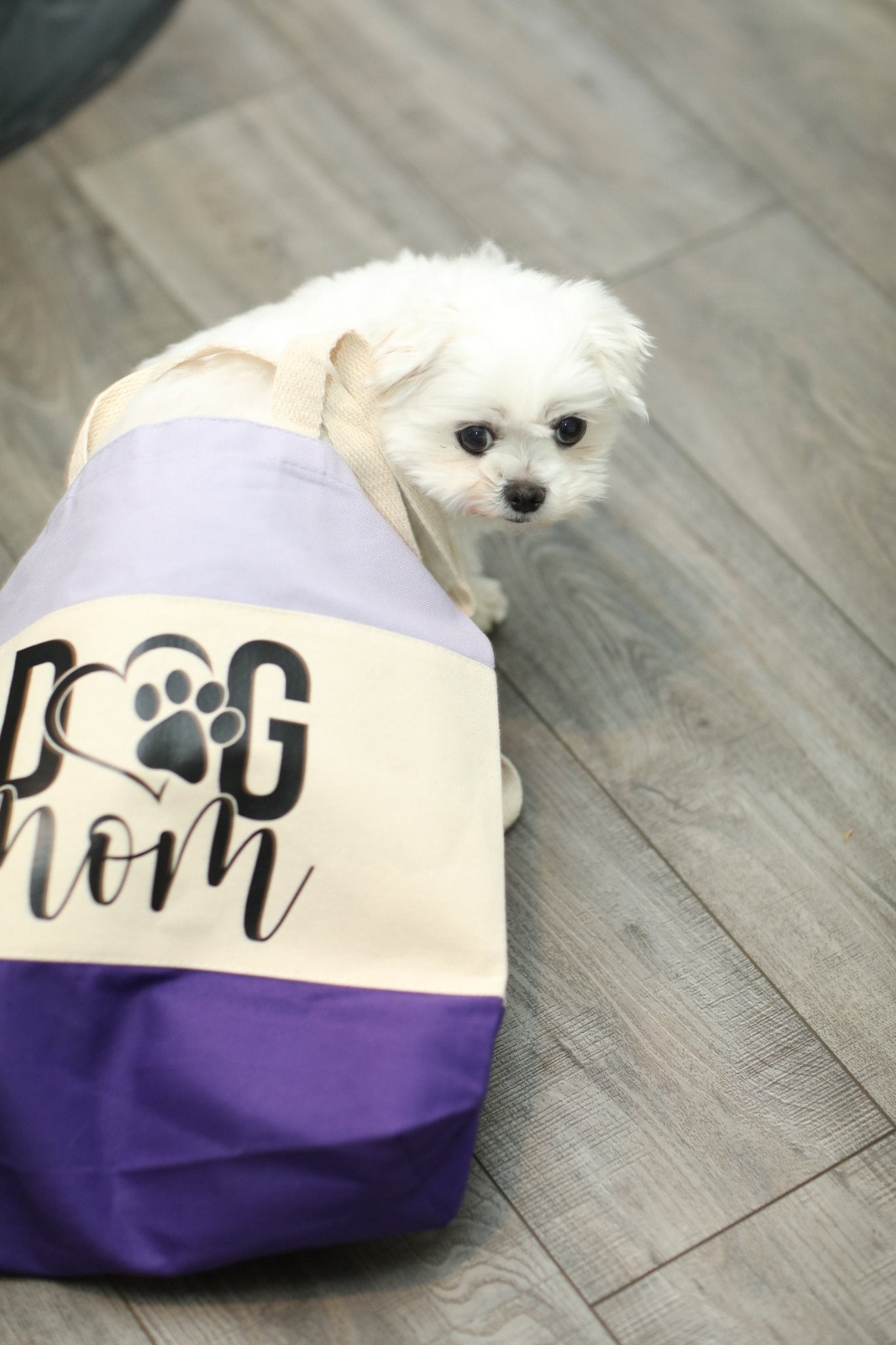 Dog Mom Canvas Tote Bag - LittleLuck Boutique