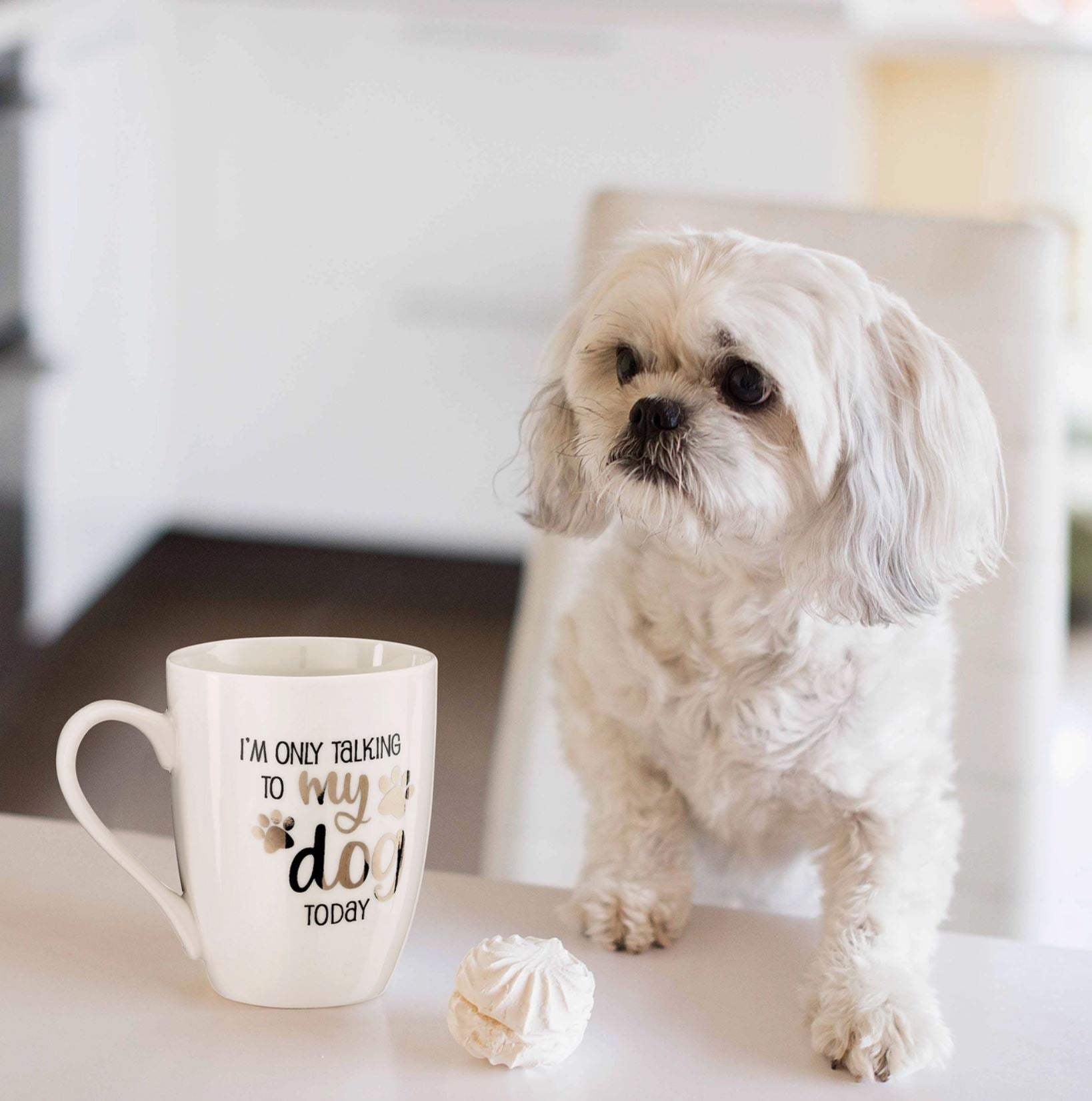 I'm Only Talking to My Dog Today Ceramic Mug - LittleLuck Boutique